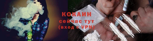 гидра Абаза