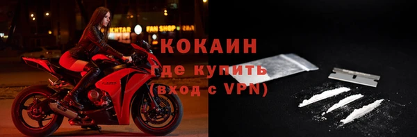 гидра Абаза