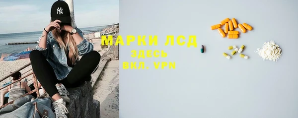 гидра Абаза