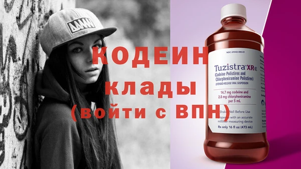 гидра Абаза
