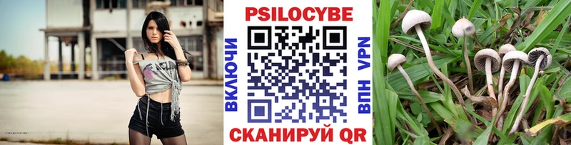 Псилоцибиновые грибы мухоморы  Искитим 